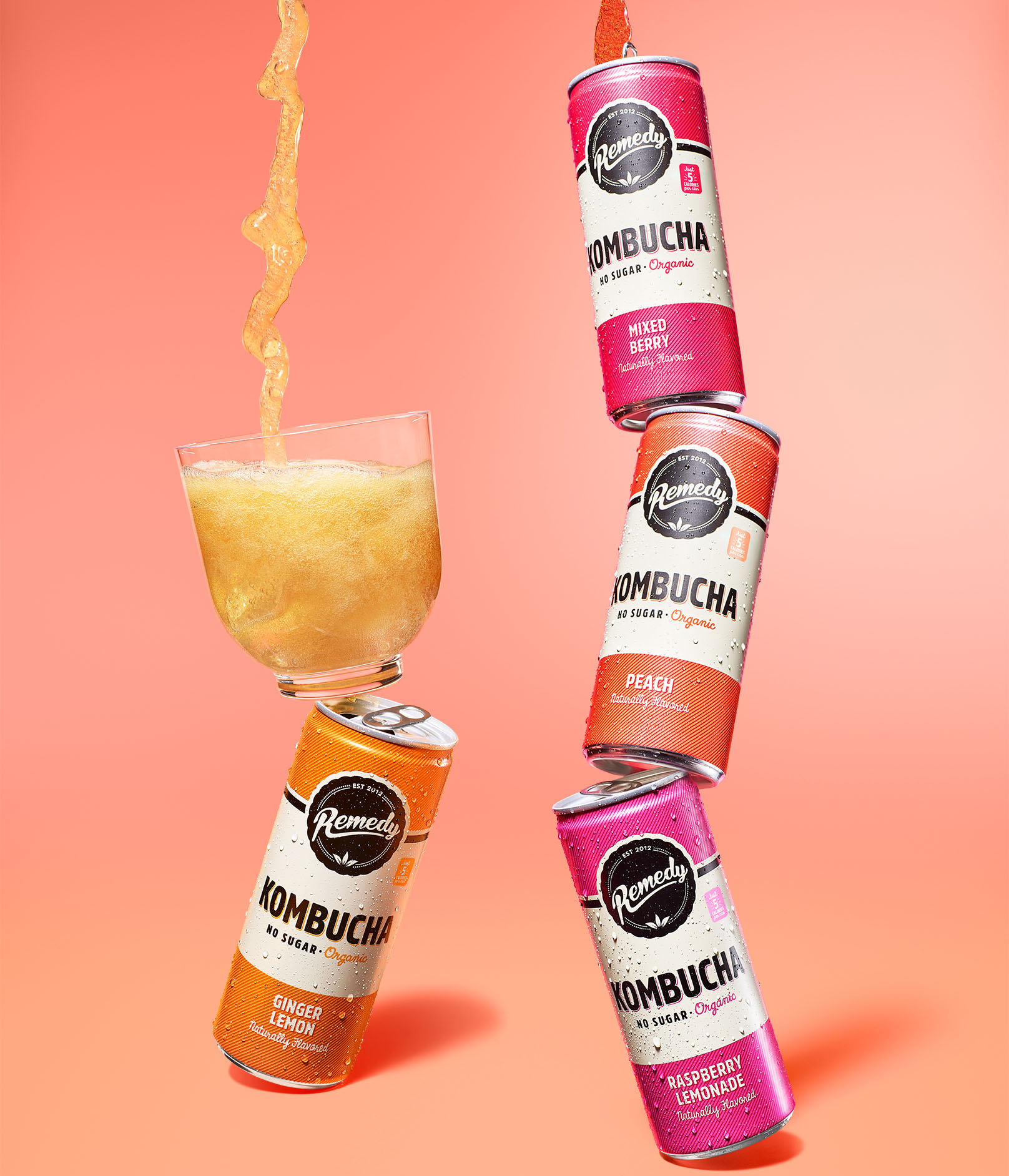 Remedy Kombucha 4 Flavor Variety Pack Stacked Cans